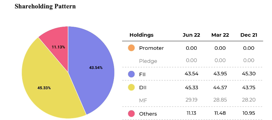 The Shareholding Pattern page below of ICICI Bank presents the Promoter’s holding, FII’s holding, DII’s Holding, and Shareholding by the general public etc.